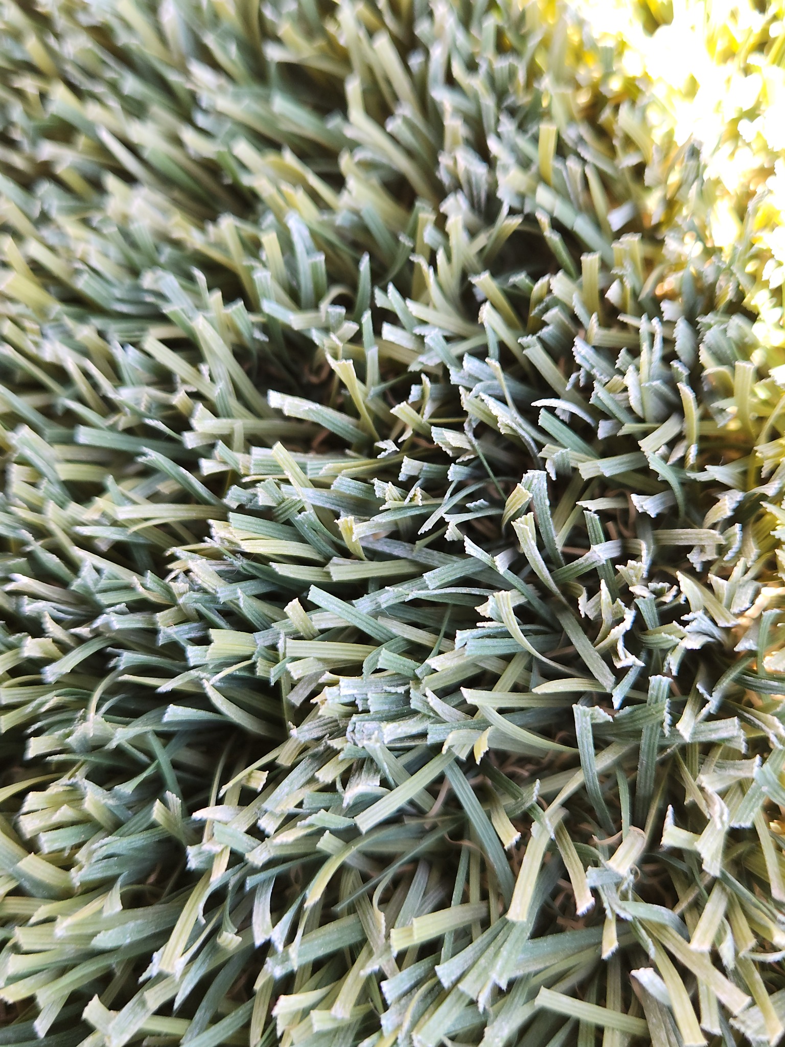 Close-up of white calcification and hard-water mineral deposits coating artificial turf fibers.